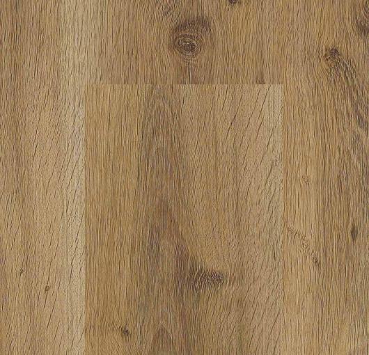 Dryback - New York Dryback - New York