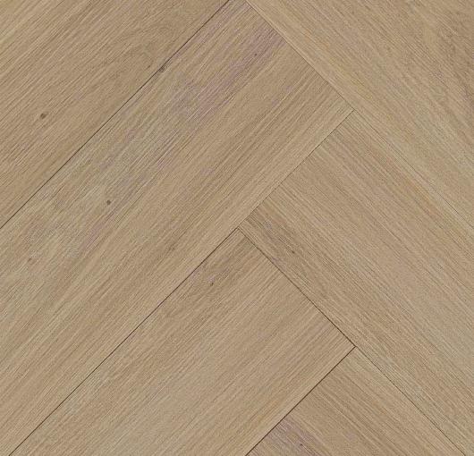 Dryback - Sydney Dryback - Sydney