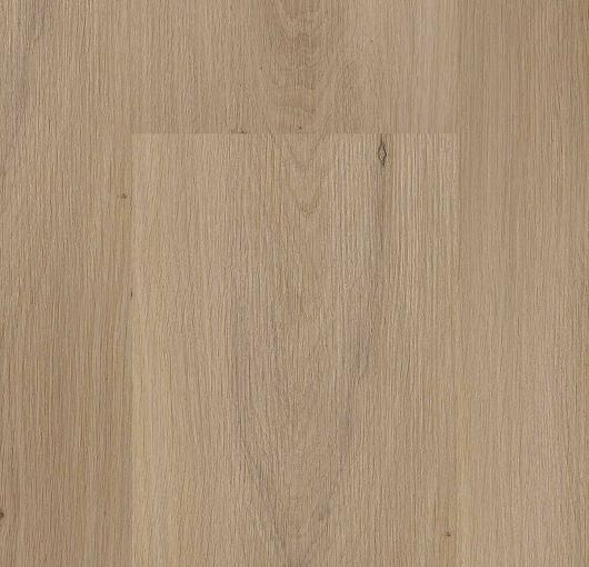 Dryback - Sydney Dryback - Sydney