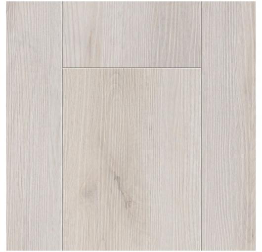 Dryback - Reykjavik Dryback - Reykjavik